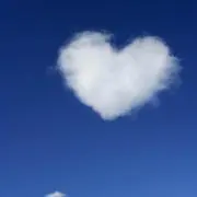 Roseの画像