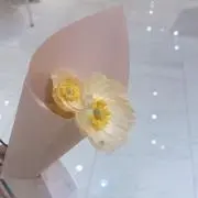 あっぷるぱいの画像