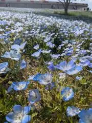 ほのか✿売り切りSale開催中✿の画像