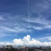 たく丸