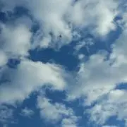 なみなみ