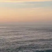 Rapanui84の画像
