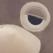 蔵