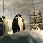 たんたん