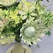 みれい