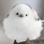 ユキ☆プロフ必読お願いしますm(__)mの画像