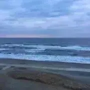 すずききき