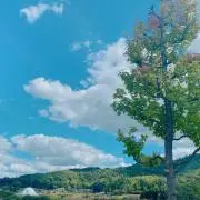 きのこ。プロフ必読