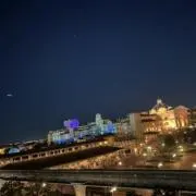 ぬーの画像