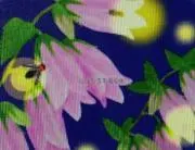 ほたるんの画像