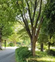 rMyの画像