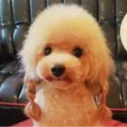 nana〜プロフィールご確認くださいの画像