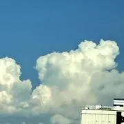 るるの画像