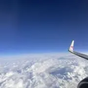 りちゃの画像