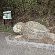 ほっこりわんの画像