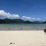 AONAGIの画像