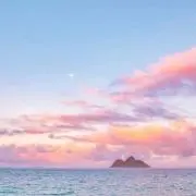 sの画像