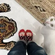 Sumiyoの画像