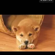 あき