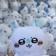 モモンガの画像