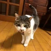 とあの画像