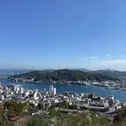 たラブラドールの画像