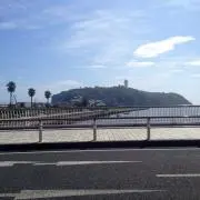 ライムの画像