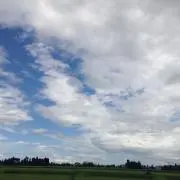 ナナシー