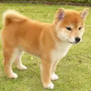 Yukiの画像