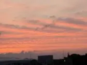 おはなの画像