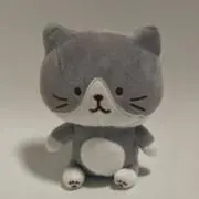 みーの画像