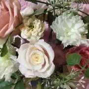 Ｙ☆の画像