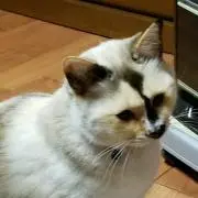りか