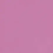 ニャンの画像