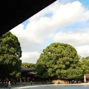春日の画像