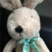 しろの画像