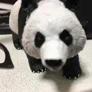 純一の画像