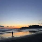 ふらみんごの画像