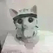 ゆう。もったいない市開催中。の画像