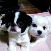 goobee∂。∂