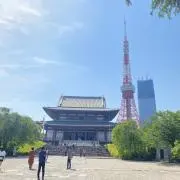 カノッサ⭐︎の画像