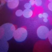 たぴの画像