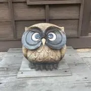 はぴはぴの画像