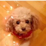 美佳☆プロフご覧ください