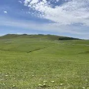 tanpopo プロフ  同梱割ありの画像