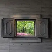 ももの画像