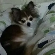 ゆの♪