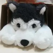あおちゃんママの画像