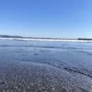 いぶの画像