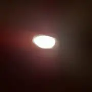 たらこぱすたの画像